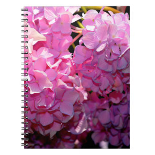 Romantic pink floral elegant hydrangeas notebook