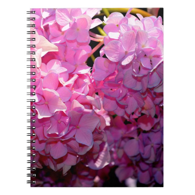 Romantic pink floral elegant hydrangeas  notebook (Front)