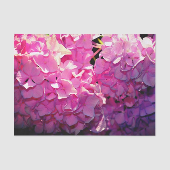 Romantic pink floral elegant hydrangeas  tissue paper (Front)