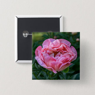 Romantic Pink Peony Bloom Soft Pastel Floral Button