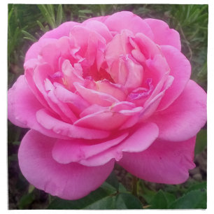Romantic Pink Rose 'Leonardo Da Vinci'    Cloth Napkin