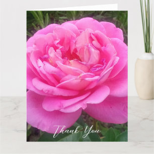 Romantic Pink Rose 'Leonardo Da Vinci' Thank You Card