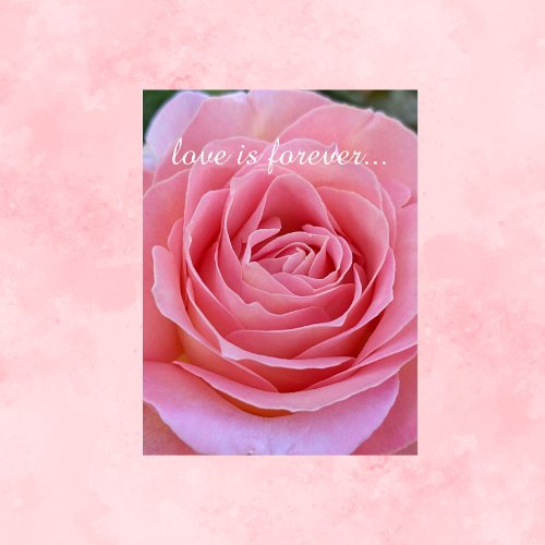 Romantic Pink Rose Personalized Marriage Proposal Card