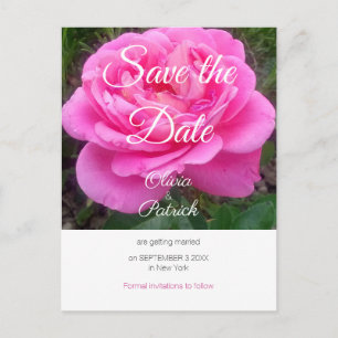 Romantic Pink Rose Wedding Save the Date Postcard