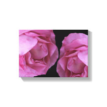 Romantic pink roses black modern exotic floral