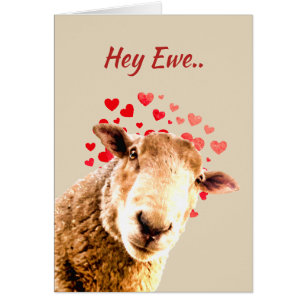 Romantic Pun Love Ewe Funny Sheep Animal Humor Cards