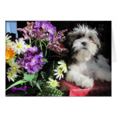 Romantic puppy surprise? (Front Horizontal)