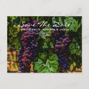 romantic purple Grapes vineyard winery wedding Announcement Postcard