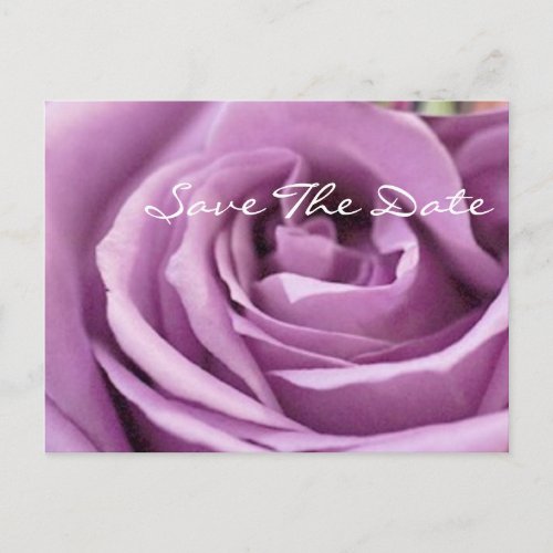 romantic purple rose  floral bridal shower announcement postcard