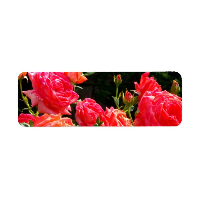 Romantic red orange coral roses floral photo label (Front)
