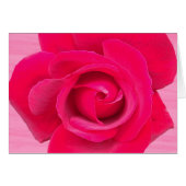Romantic Red Pink Rose (Front Horizontal)