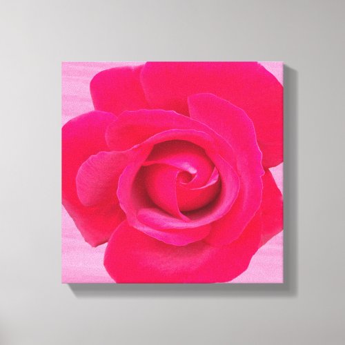 Romantic Red Pink Rose Canvas Print