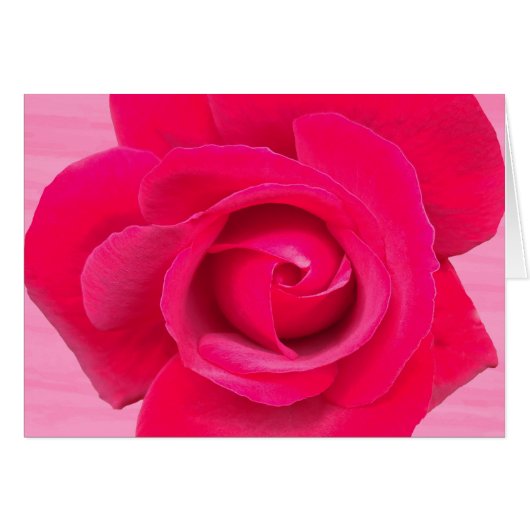 Romantic Red Pink Rose Cards (Front Horizontal)