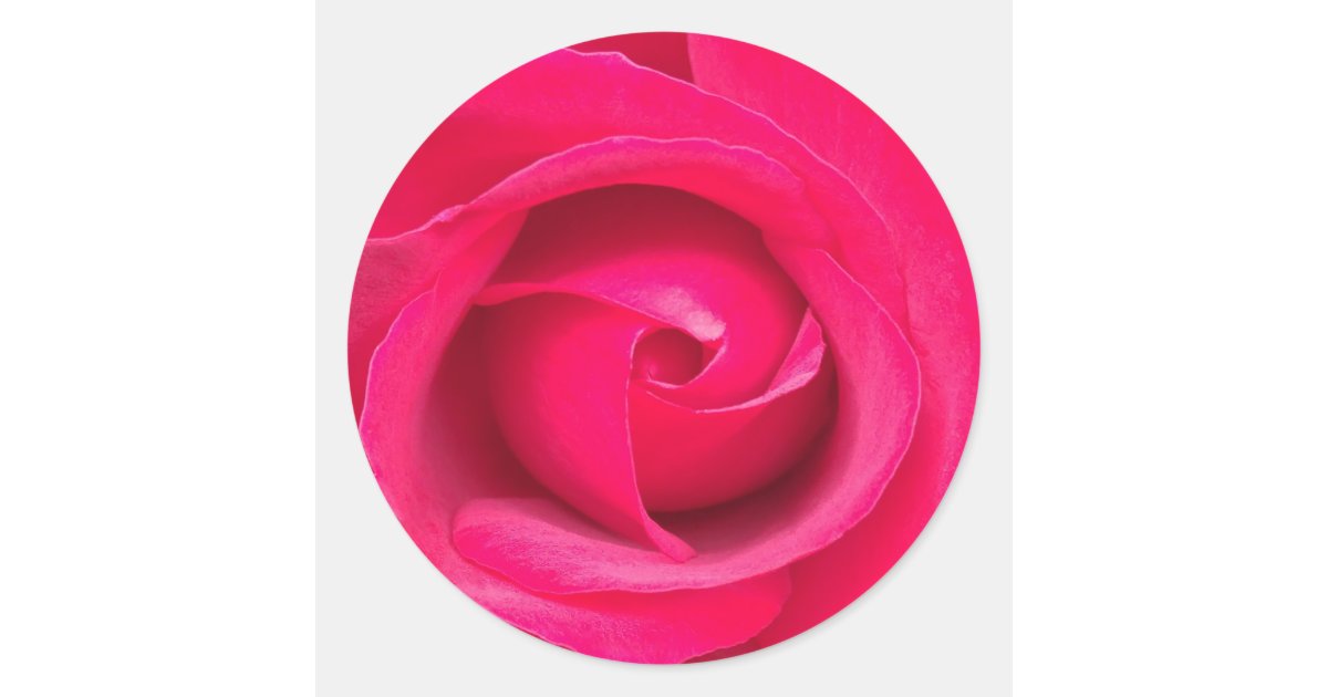 Round Sticker Rose Romantic Red Pink Rose Classic Round Sticker | Zazzle