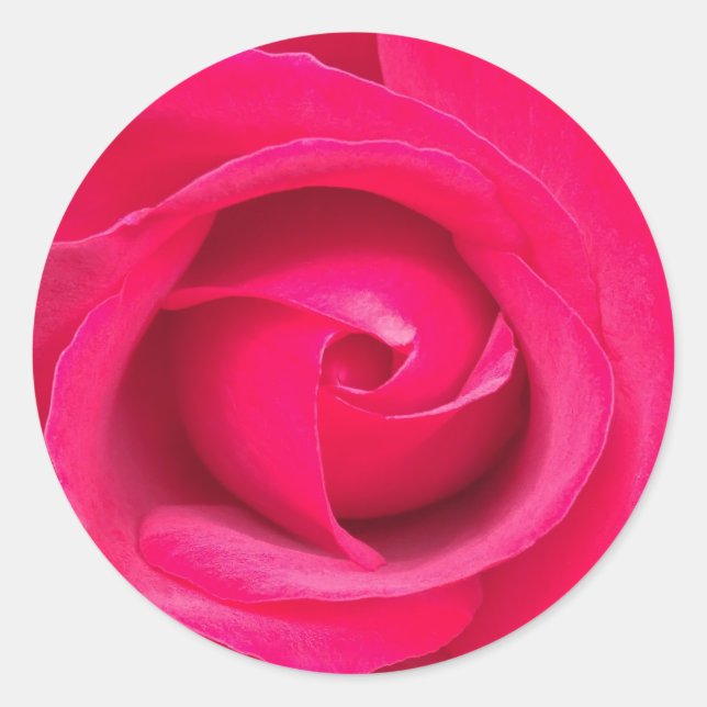 Romantic Red Pink Rose Classic Round Sticker (Front)