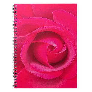 Romantic Red Pink Rose Notebook