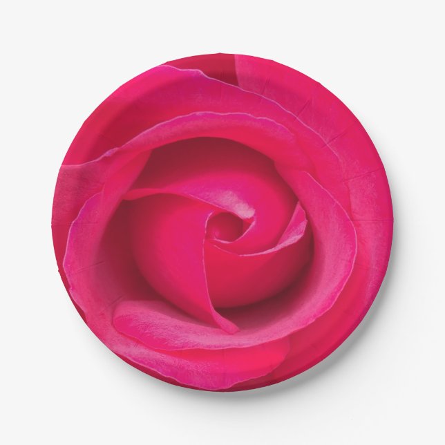 Romantic Red Pink Rose Paper Plates (Front)