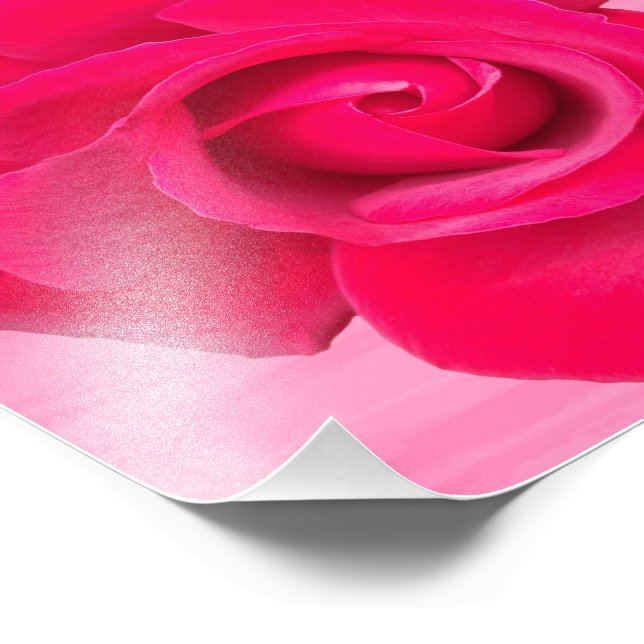 Romantic Red Pink Rose Photo Print (Corner)