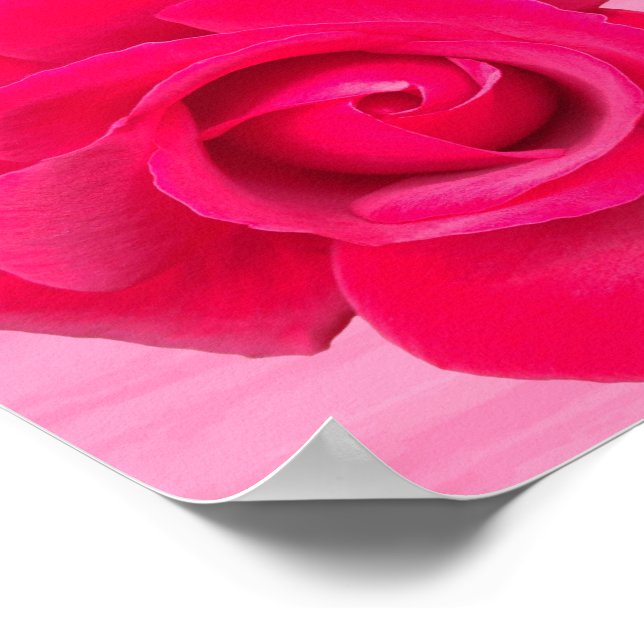 Romantic Red Pink Rose Poster (Corner)