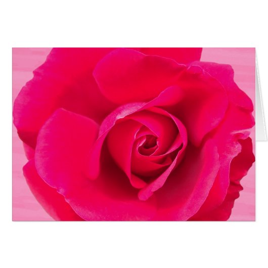 Romantic Red Pink Rose v2 Cards (Front Horizontal)