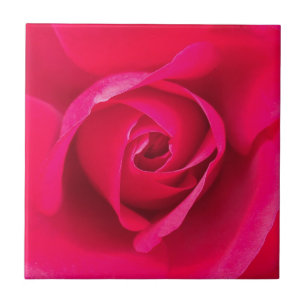 Romantic Red Pink Rose v2 Ceramic Tile