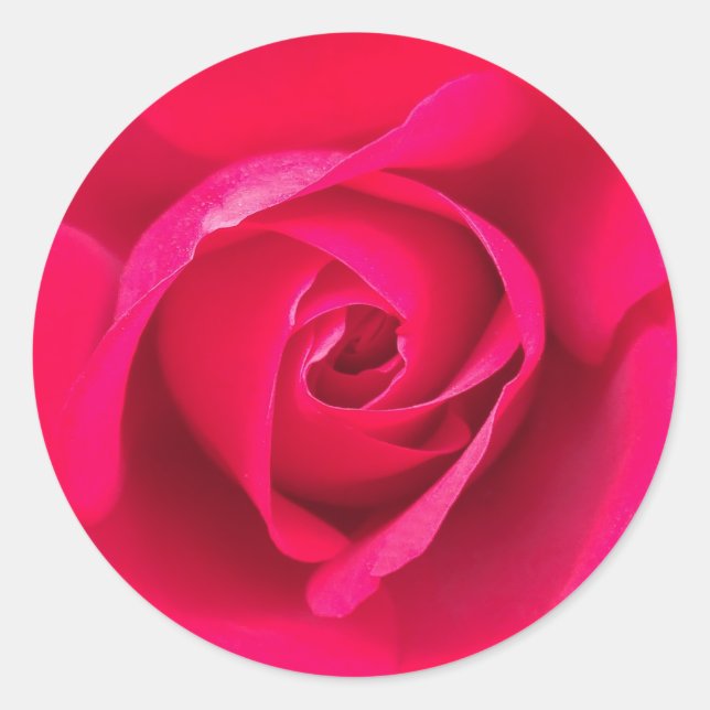 Romantic Red Pink Rose v2 Classic Round Sticker (Front)