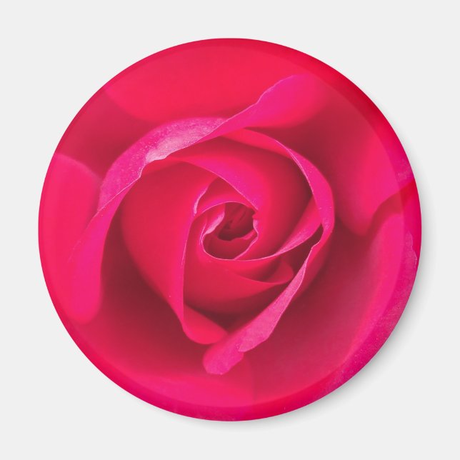 Romantic Red Pink Rose v2 Magnet (Front)