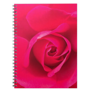 Romantic Red Pink Rose v2 Notebook