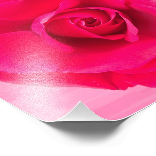 Romantic Red Pink Rose v2 Photo Print (Corner)