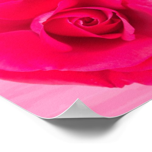 Romantic Red Pink Rose v2 Poster