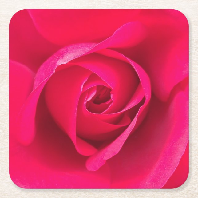 Romantic Red Pink Rose v2 Square Paper Coaster (Front)