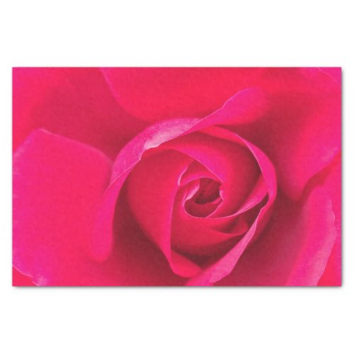 Romantic Red Pink Rose v2 Tissue Paper