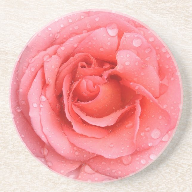 Romantic Red Pink Rose Water Drops Drink Coaster (Front)
