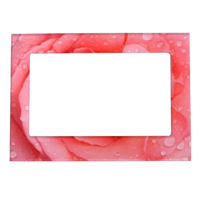 Romantic Red Pink Rose Water Drops Magnetic Frame (Front)