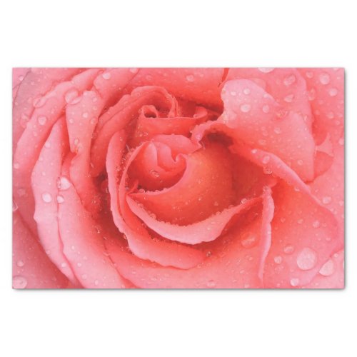 Romantic Red Pink Rose Water Drops Tissue Paper