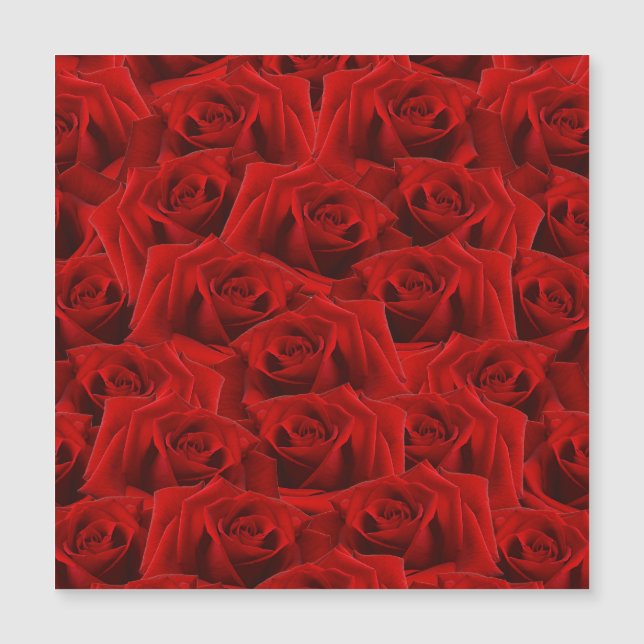  Romantic Red Rose (Front)