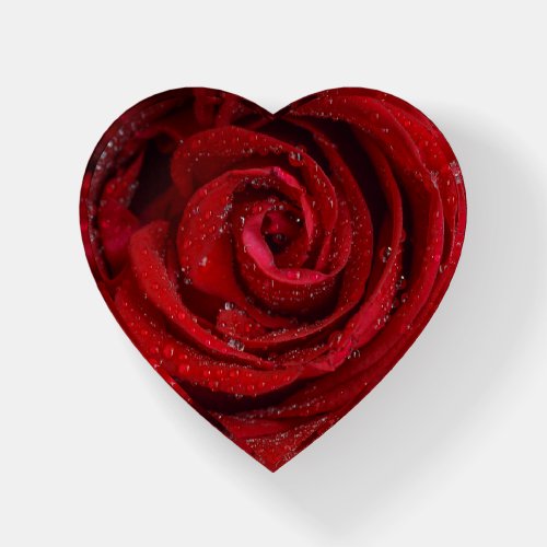 Romantic Red Rose Flower Paperweight