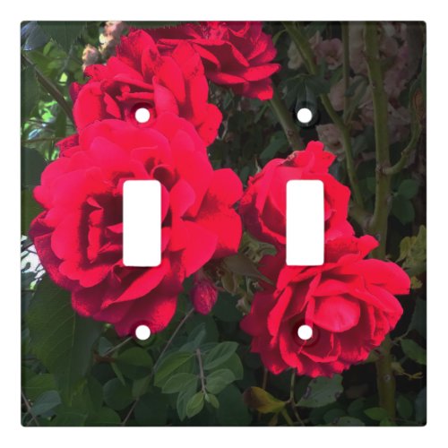 Romantic Red Rose Garden   Light Switch Cover