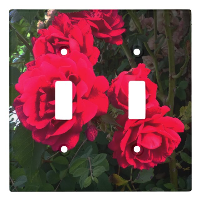 Romantic Red Rose Garden   Light Switch Cover (Front)