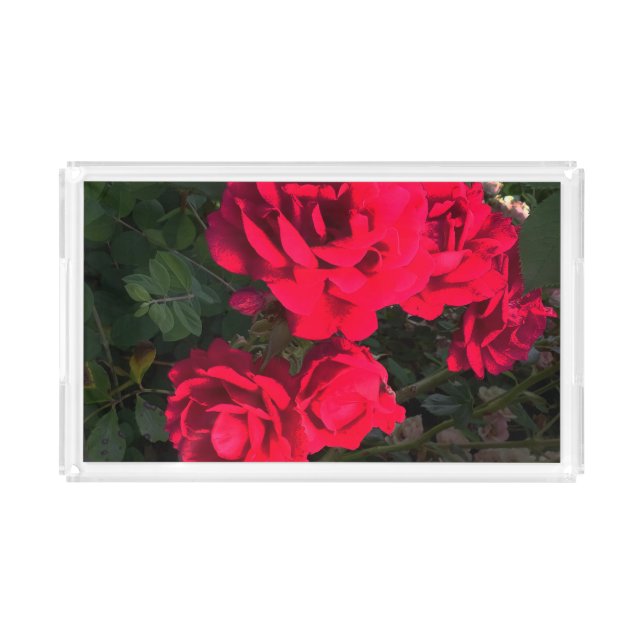 Romantic Red Rose Garden Rosery Acrylic Tray (Front)