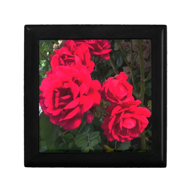 Romantic Red Rose Garden Rosery Gift Box (Front)
