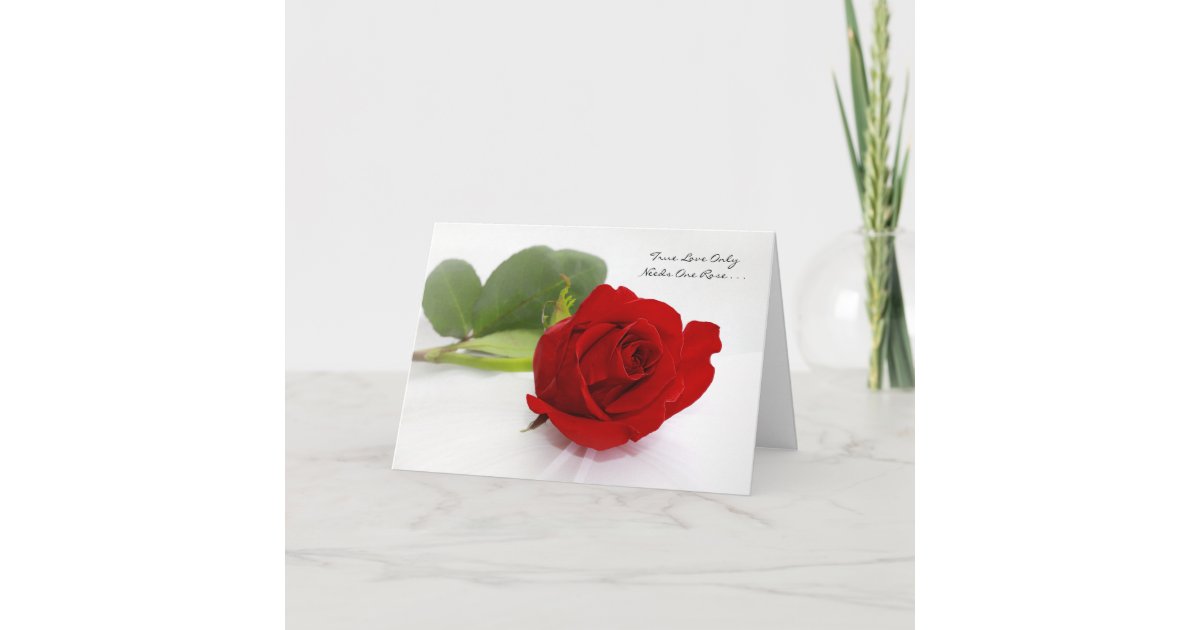 Romantic Red Rose I Love You Only One For Me Card Zazzle Com Romantic Red Rose I Love You Only One For Me Card Zazzle Com