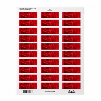 Romantic Red Rose Label | Zazzle