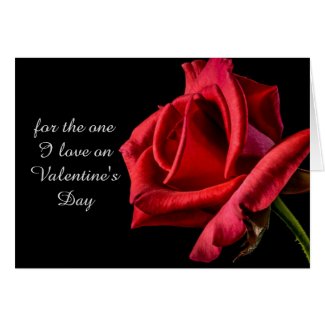 Romantic Red Rose Valentine's Day Card