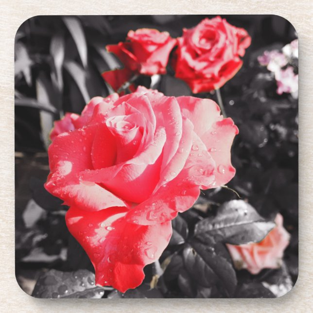 Romantic Red Roses Beverage Coaster (Front)