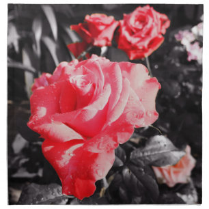 Romantic Red Roses Cloth Napkin