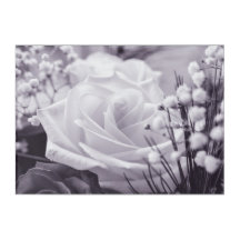 Romantic Rose Blossom Purple Flower Acrylic Print