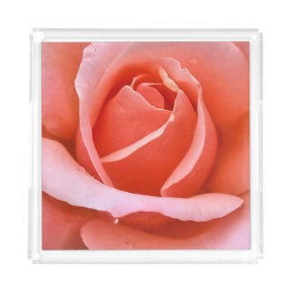 Romantic Rose Botanical Art Print Acrylic Tray