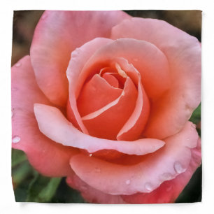 Romantic Rose Botanical Art Print Bandana