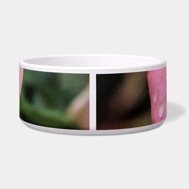 Romantic Rose Botanical Art Print Bowl (Back)